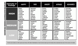 Feelings Chart 3